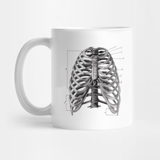 Human rib cage print by Polikarp308